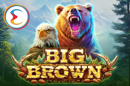 06062 big brown